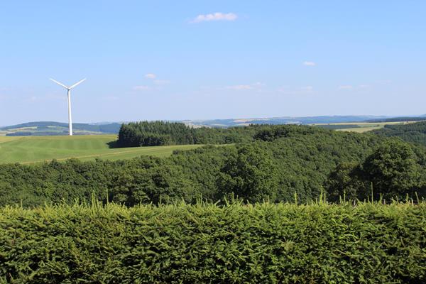 Die Natur zu Fuß erkunden - Hotel